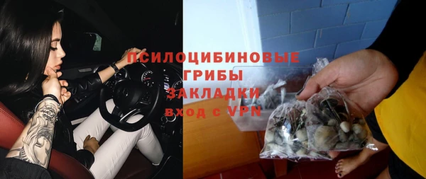 прущий лед Семилуки