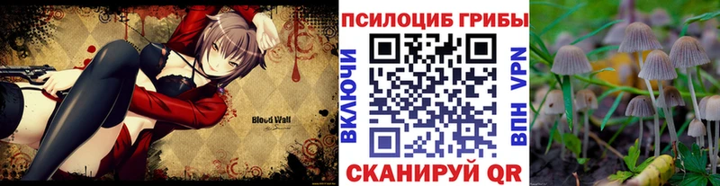 Псилоцибиновые грибы мицелий  omg зеркало  Изобильный  где можно купить наркотик 