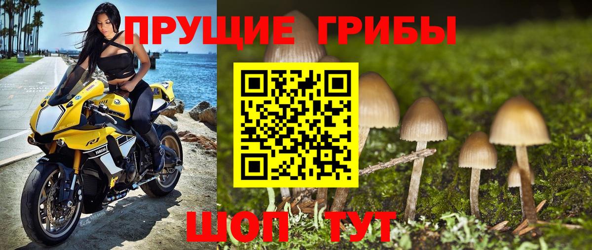 Псилоцибиновые грибы мухоморы Изобильный