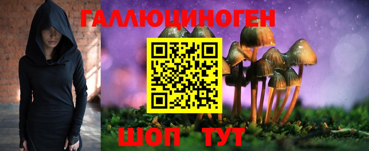 Псилоцибиновые грибы Psilocybe  Вход с VPN  Изобильный 